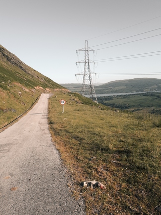 A rough road leads down the hill, some sheep graze beside it. A speed limit sign stands to the right with the number 24 on it.