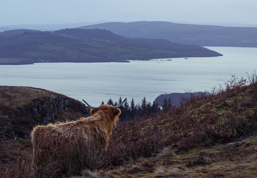 Loch Lomond from Conic Hill