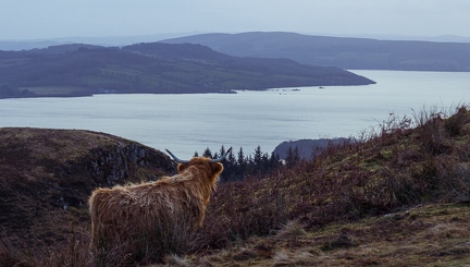 Loch Lomond from Conic Hill